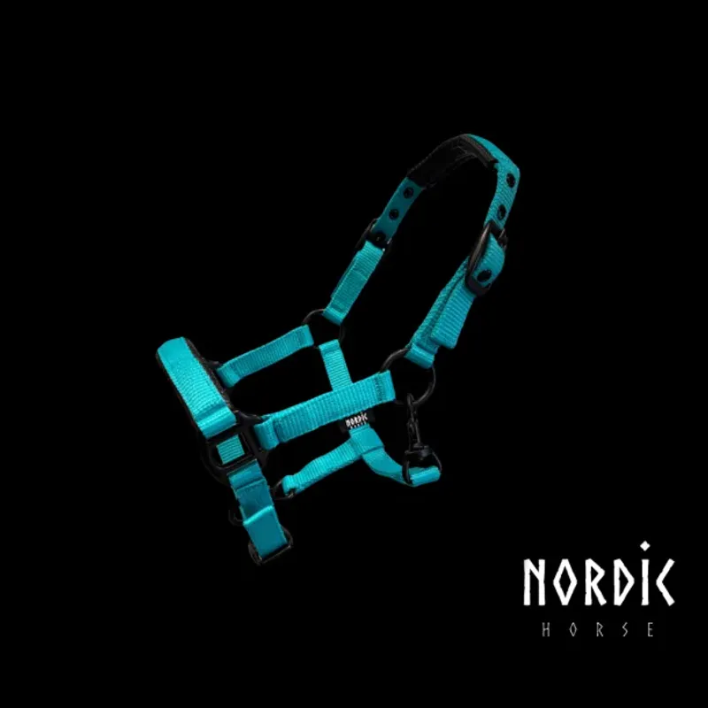 Nordic Horse Føll Grime Turkis